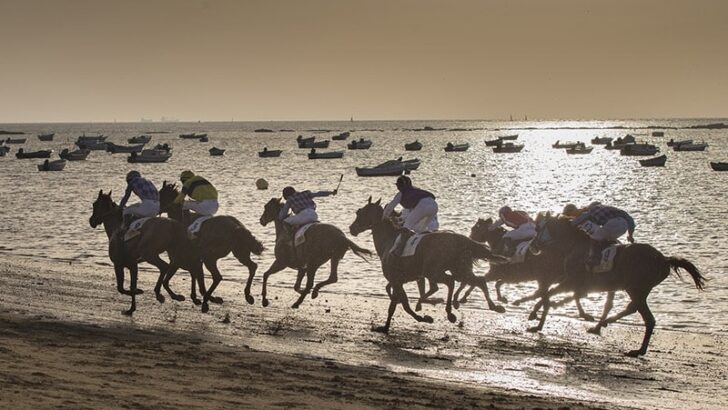The Best Places for Spanish Horse Racing Traditions