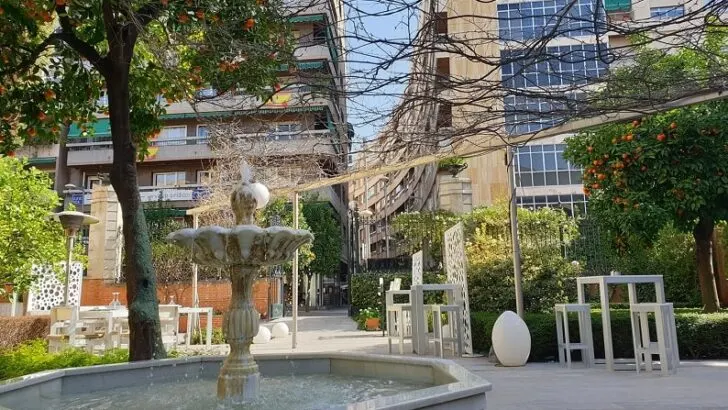 Autumn dishes in Granada – Wild Mushroom + Seasonal Produce