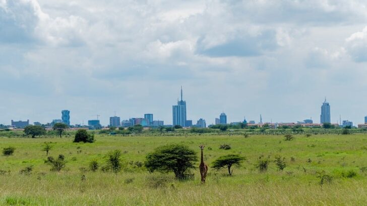 Nairobi – The Best Attractions in Kenya´s Capital
