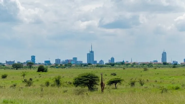 Nairobi – The Best Attractions in Kenya´s Capital