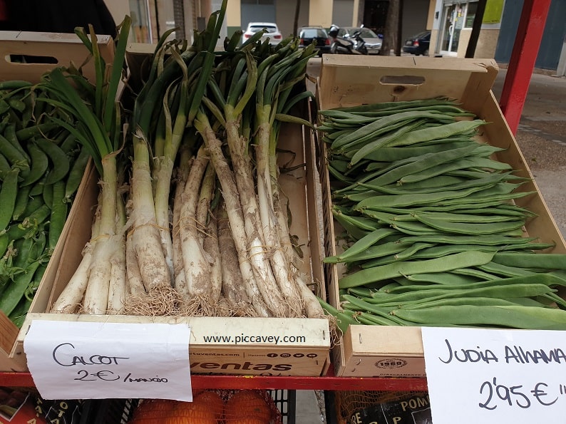 Calçots Calcots Catalan Cuisine