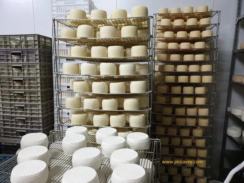 Degusta Jaen Province Cheese