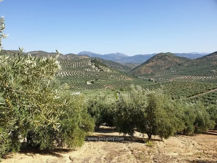 Jaen Province Landscapes