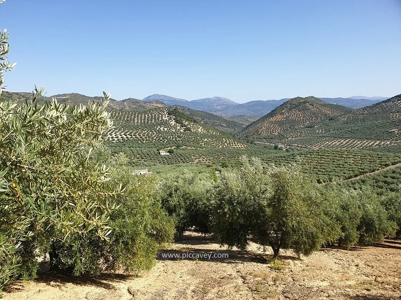  Jaen Province Landscapes