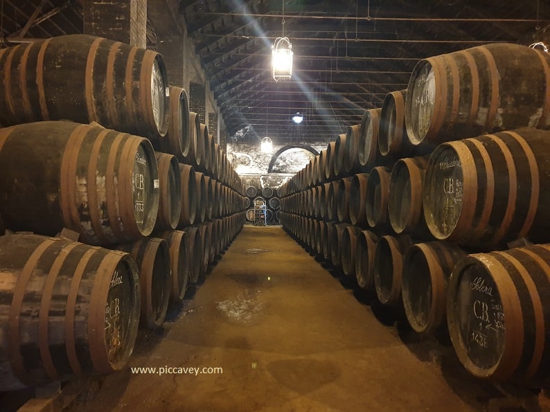 Bodega Alvear Montilla Moriles