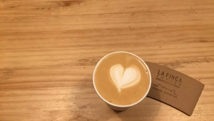 Barcelona Coffee Shops – 7 of the Best Cafés to Try