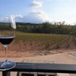 Oller del Mas Catalan Winery