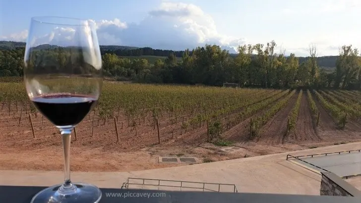 Top Wine Regions in Europe worth Visting