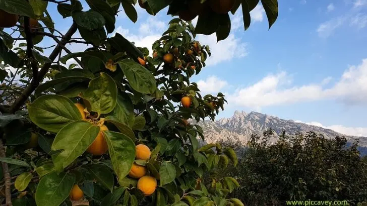 What to know about Staying in Spain – Relocate as a US Citizen