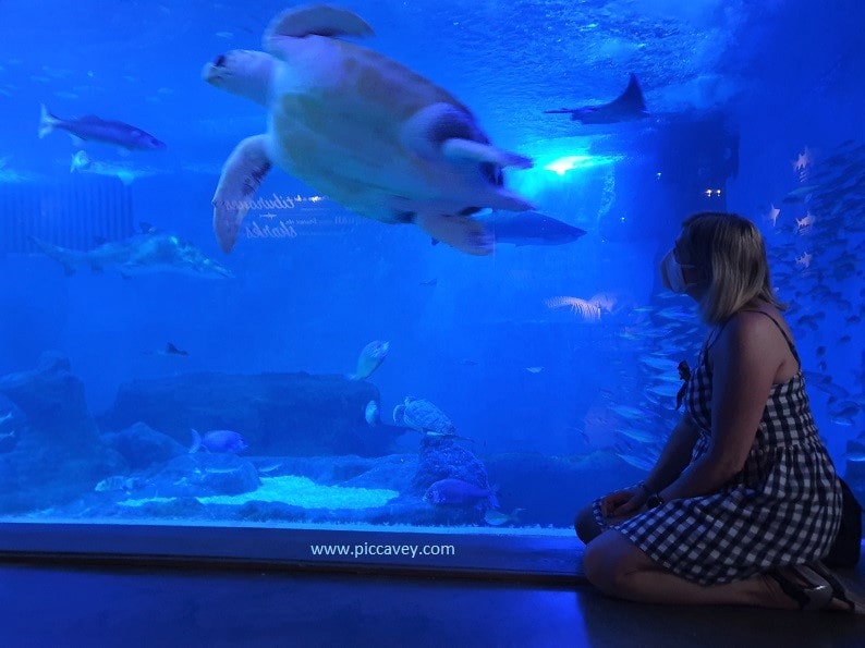 Seville Aquarium