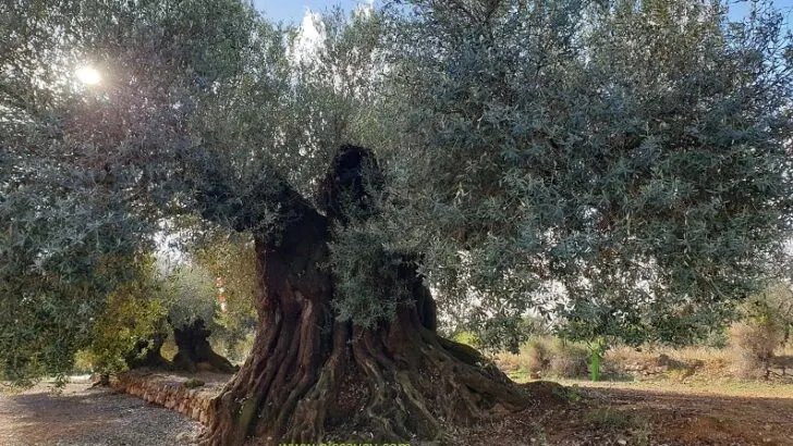 5 Tips for Sustainable Travelling – Eco Friendly Travel