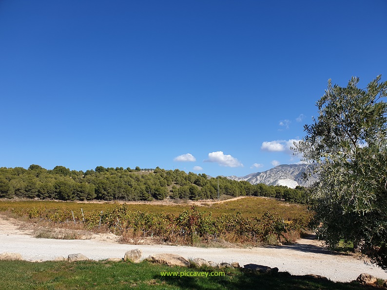 Visiting Granada Wine producers in Andalucia