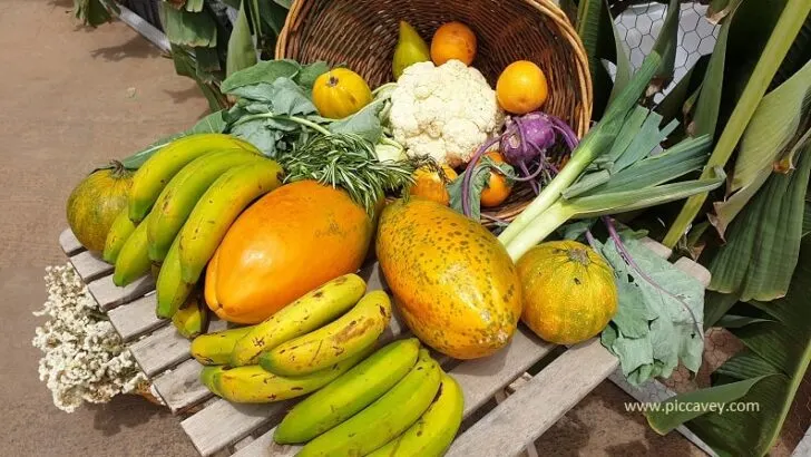 Tenerife Food Guide – Best Local Dishes in the Canary Islands