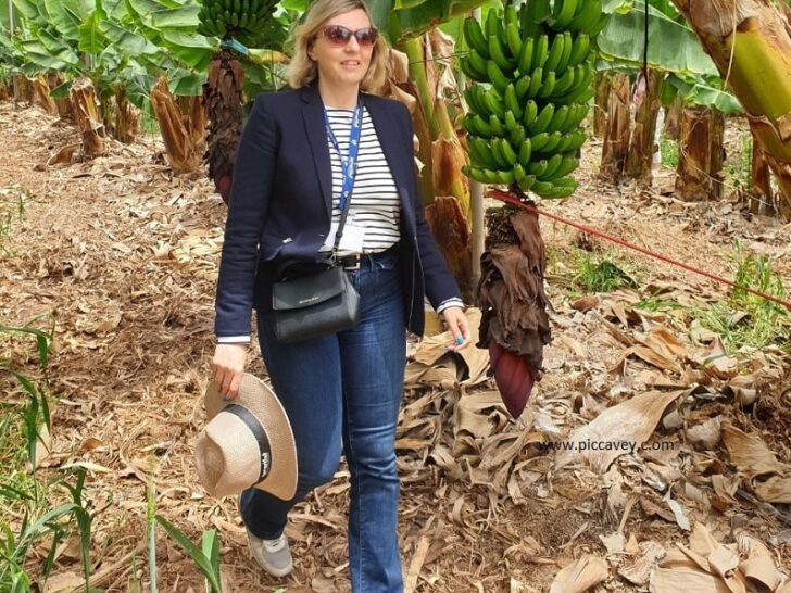 Molly at Tenerife Banana Plantation