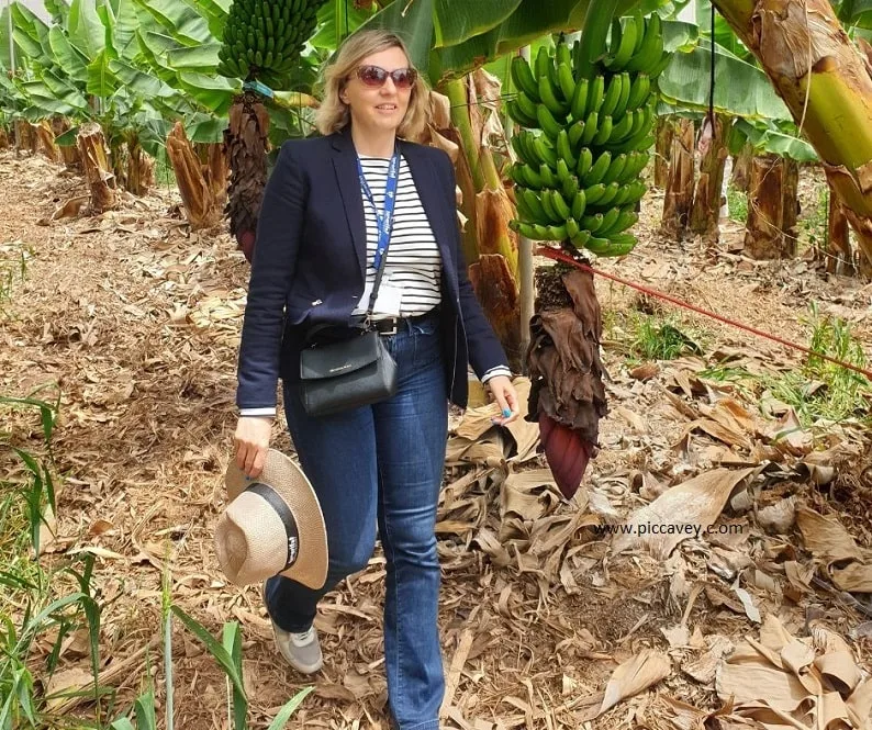 Molly at Tenerife Banana Plantation