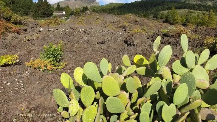 5 things to know when visiting mulitple Canary Islands