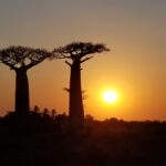 6 Reasons You Should Visit Madagascar