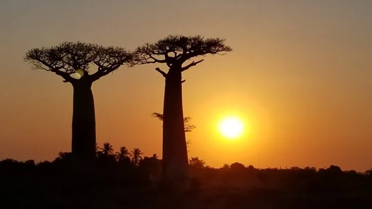 6 Reasons You Should Visit Madagascar