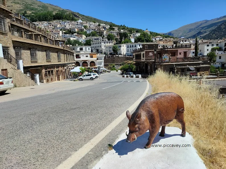 Trevelez Jamon Serrano Alpujarra Granada Ham