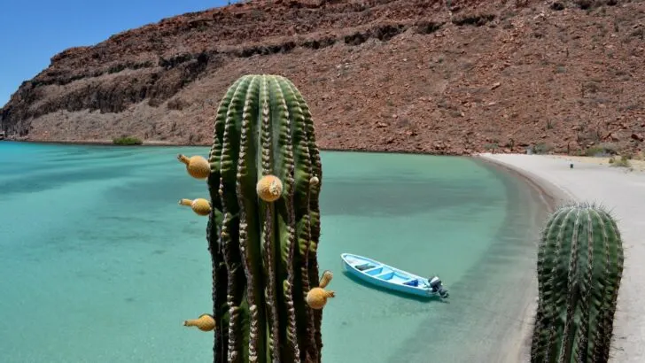 What to see in Mexico in 2022